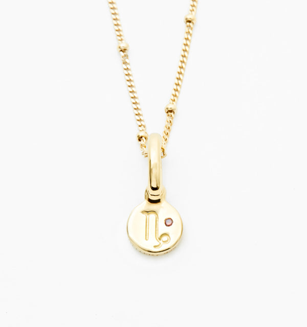 Capricorn Necklace