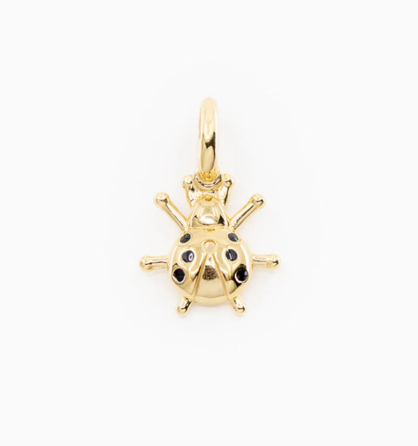 Lady Bug Charm
