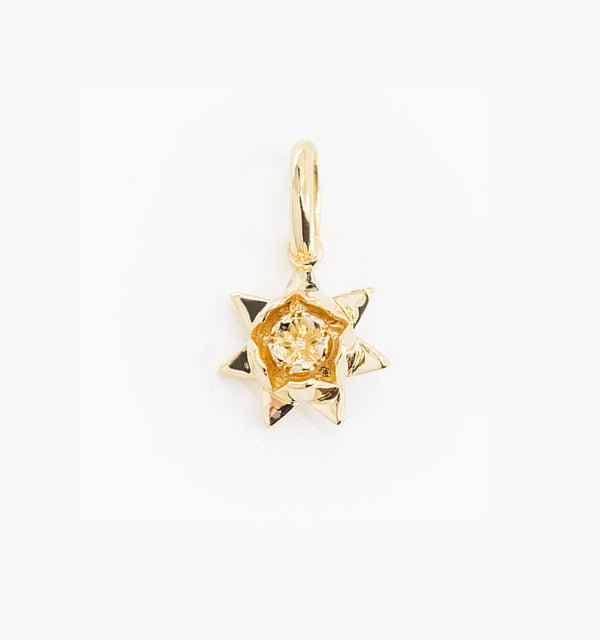 Lotus Charm